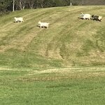 Photo taken by Yumi A