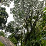 Photo taken by Wilbert A