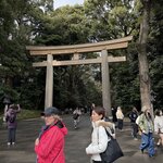 Photo taken by Ian M