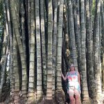 Photo taken by Kara K