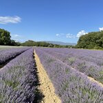 Photo taken by Jodi P