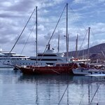 Photo taken by Margy C