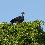 Photo taken by Kakoli K