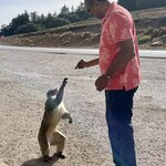 Photo taken by Cynthia F