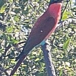 Photo taken by rhonda c