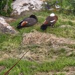 Photo taken by Rand M