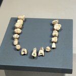 Photo taken by AnaElvia S