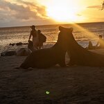 Photo taken by Jennifer A