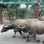 Photo taken by Brian C