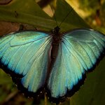 Photo taken by Sabine V