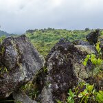 Photo taken by Jeffrey B