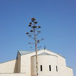 Photo taken by Beata p