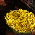 Photo taken by Peter J