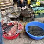 Photo taken by sandi l