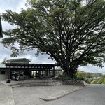 Photo taken by Robin W