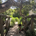 Photo taken by Jason C