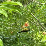 Photo taken by Jill M