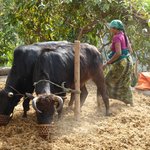 Photo taken by Arpita D