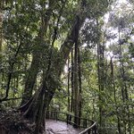 Photo taken by Peter B