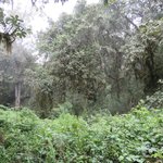 Photo taken by Kristin M