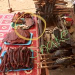 Photo taken by Gillian E