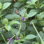 Photo taken by Alexia M