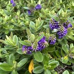 Photo taken by John K