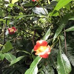 Photo taken by Anna L