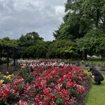 Photo taken by Judah J