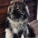 Photo taken by Jennifer E