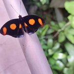 Photo taken by Sarah R