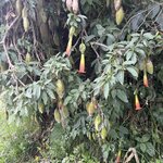 Photo taken by Vicki Lynn M