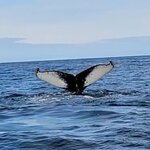 Photo taken by Rick Y