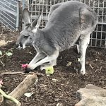 Photo taken by Alfredo H