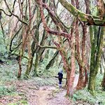 Photo taken by Jill S