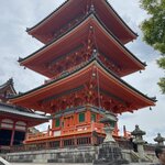 Photo taken by PADMABEN P