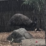 Photo taken by Alfredo H