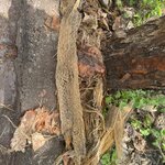 Photo taken by Thomas L