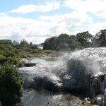 Photo taken by Iris W