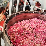 Photo taken by Lisa D