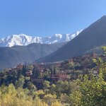 Photo taken by Paula F