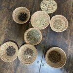 Photo taken by Celeste H