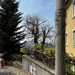 Photo taken by Frank S