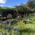 Photo taken by Linda F