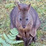 Photo taken by Amy Z