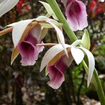 Photo taken by Brett F