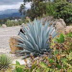 Photo taken by Debby D