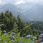 Photo taken by Shree L