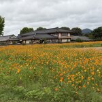 Photo taken by Anne-Marie C