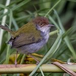 Photo taken by Graham D